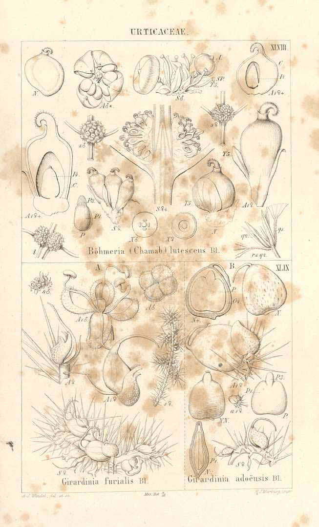 no HD illustration available (3)