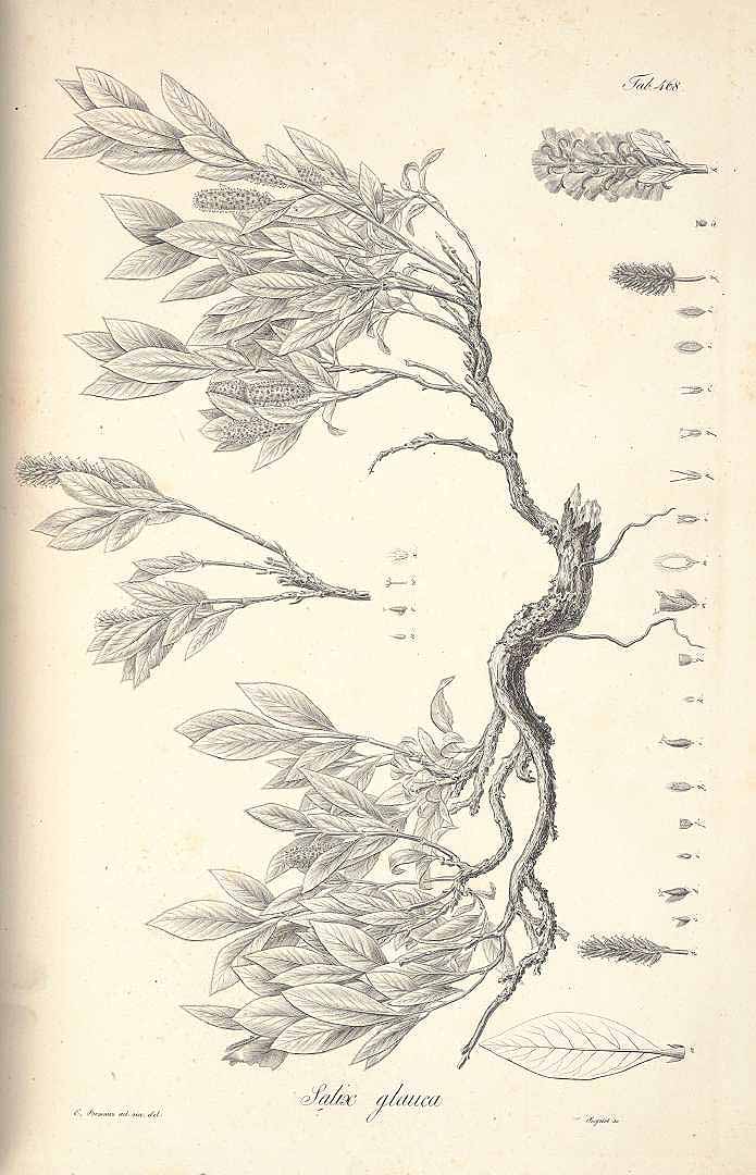 no HD illustration available (3)