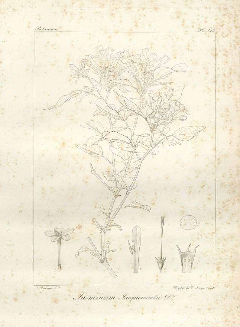 no HD illustration available (3)