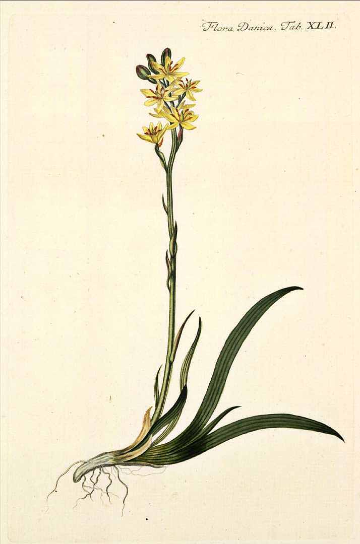 no HD illustration available (3)