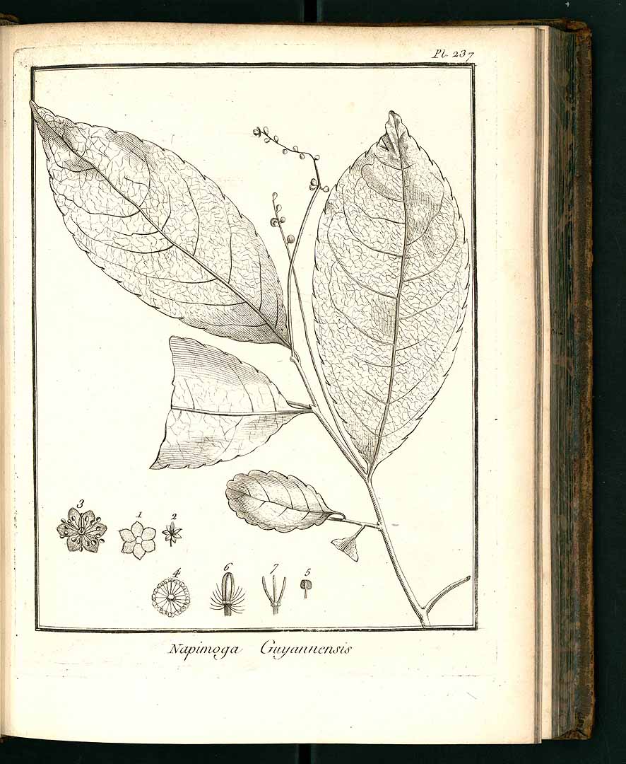 no HD illustration available (3)