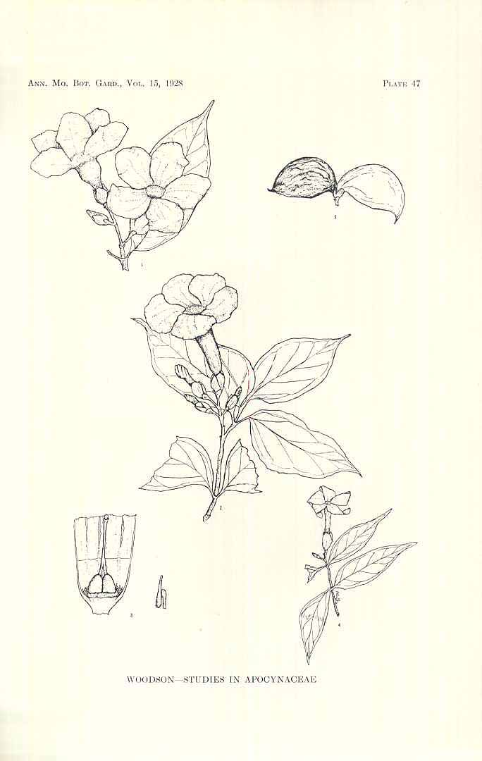 no HD illustration available (3)