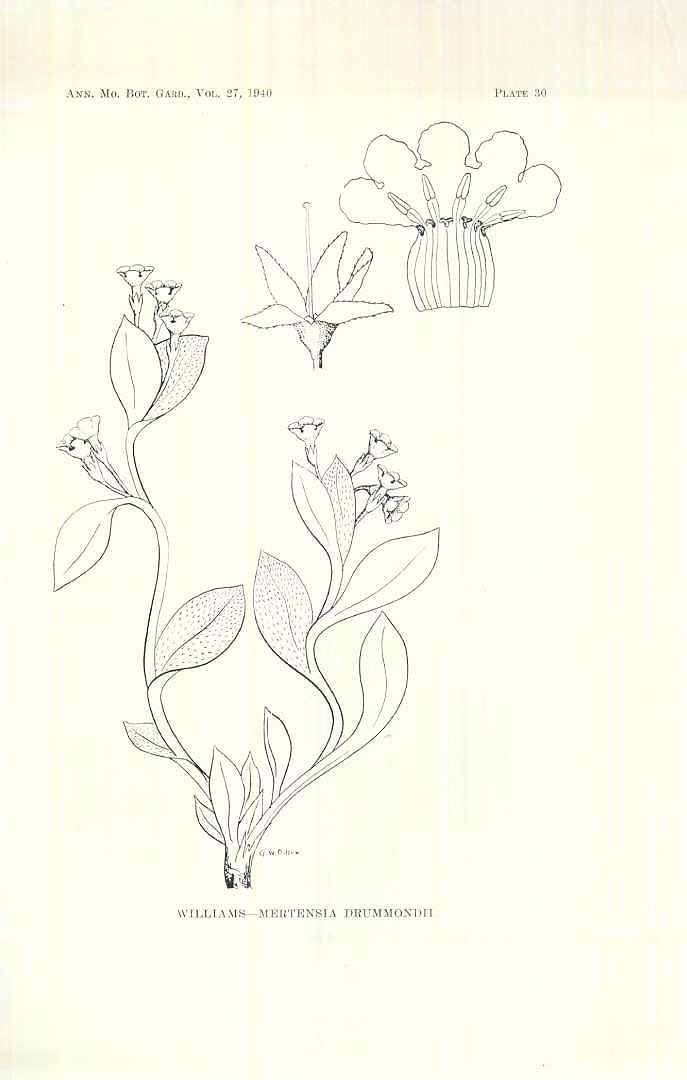no HD illustration available (3)