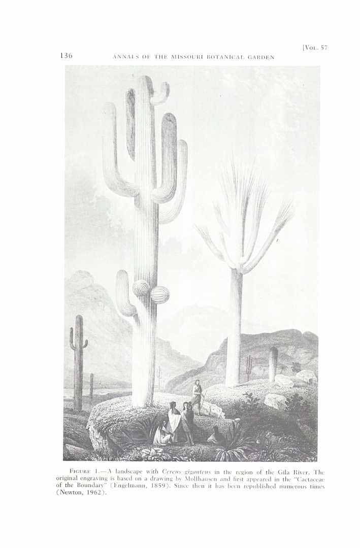 no HD illustration available (3)