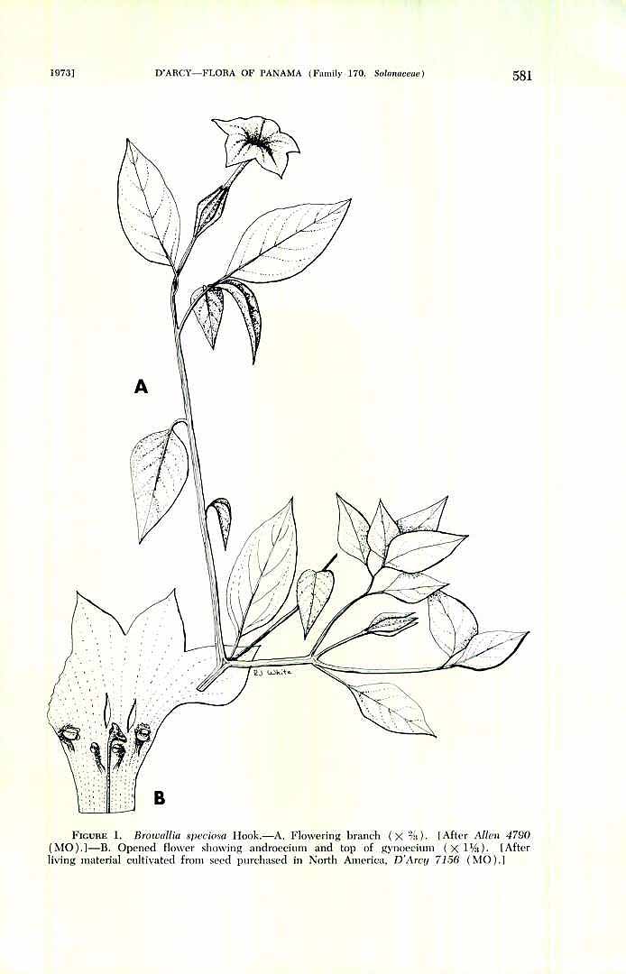 no HD illustration available (3)