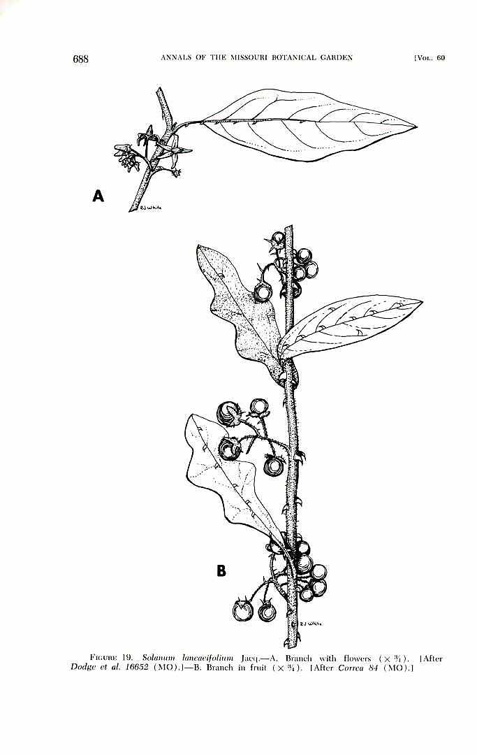 no HD illustration available (3)