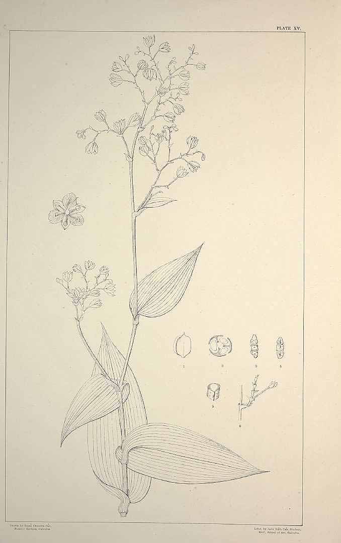 no HD illustration available (3)