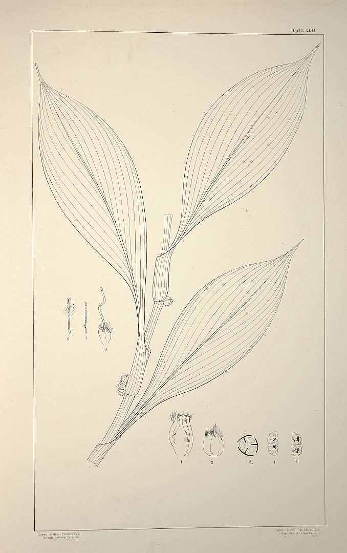 no HD illustration available (3)