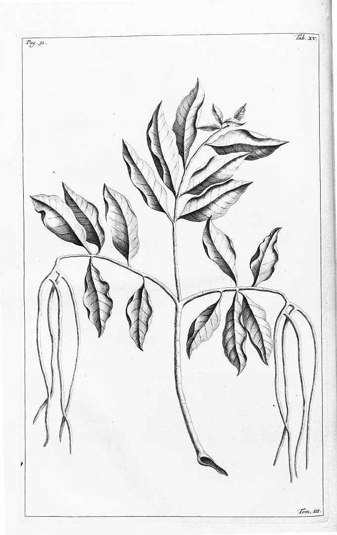 no HD illustration available (3)