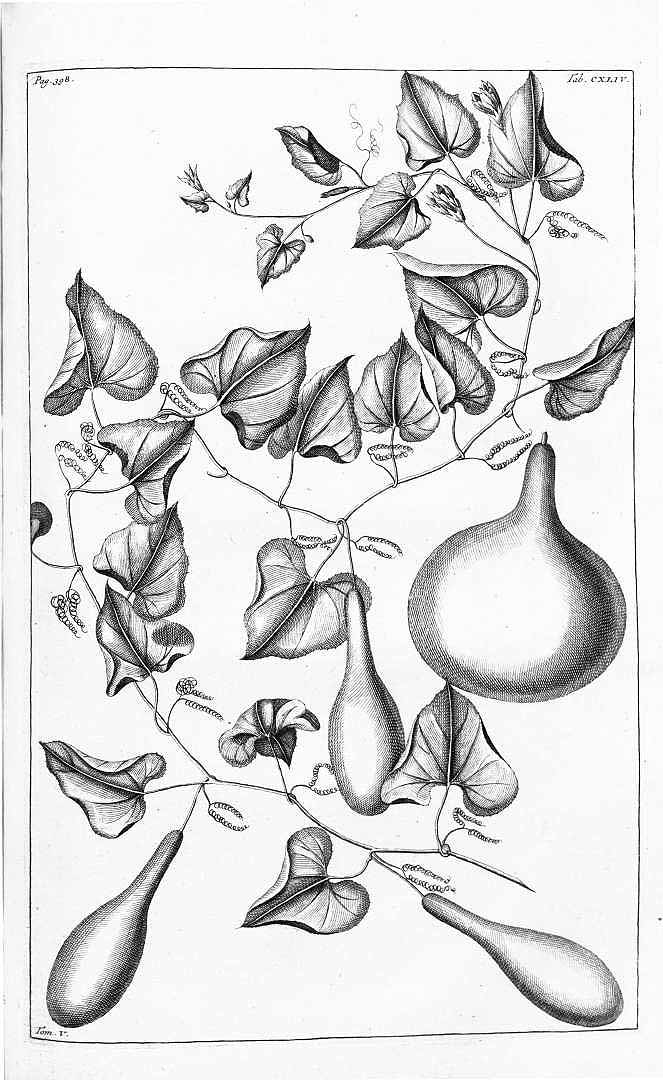 no HD illustration available (3)