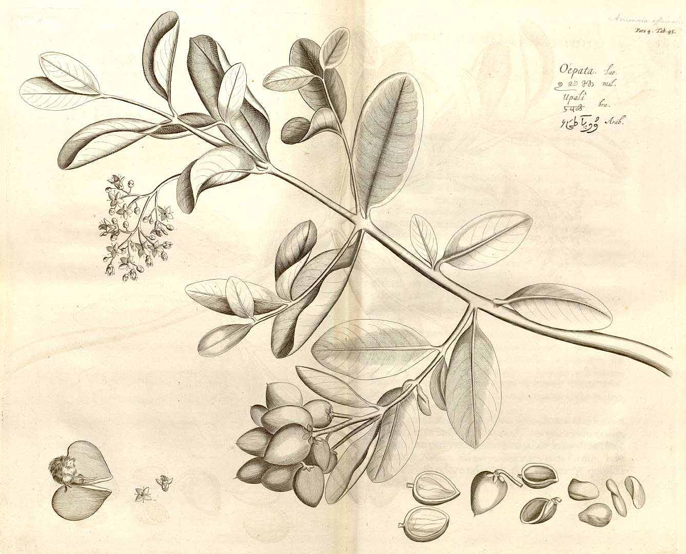 no HD illustration available (3)