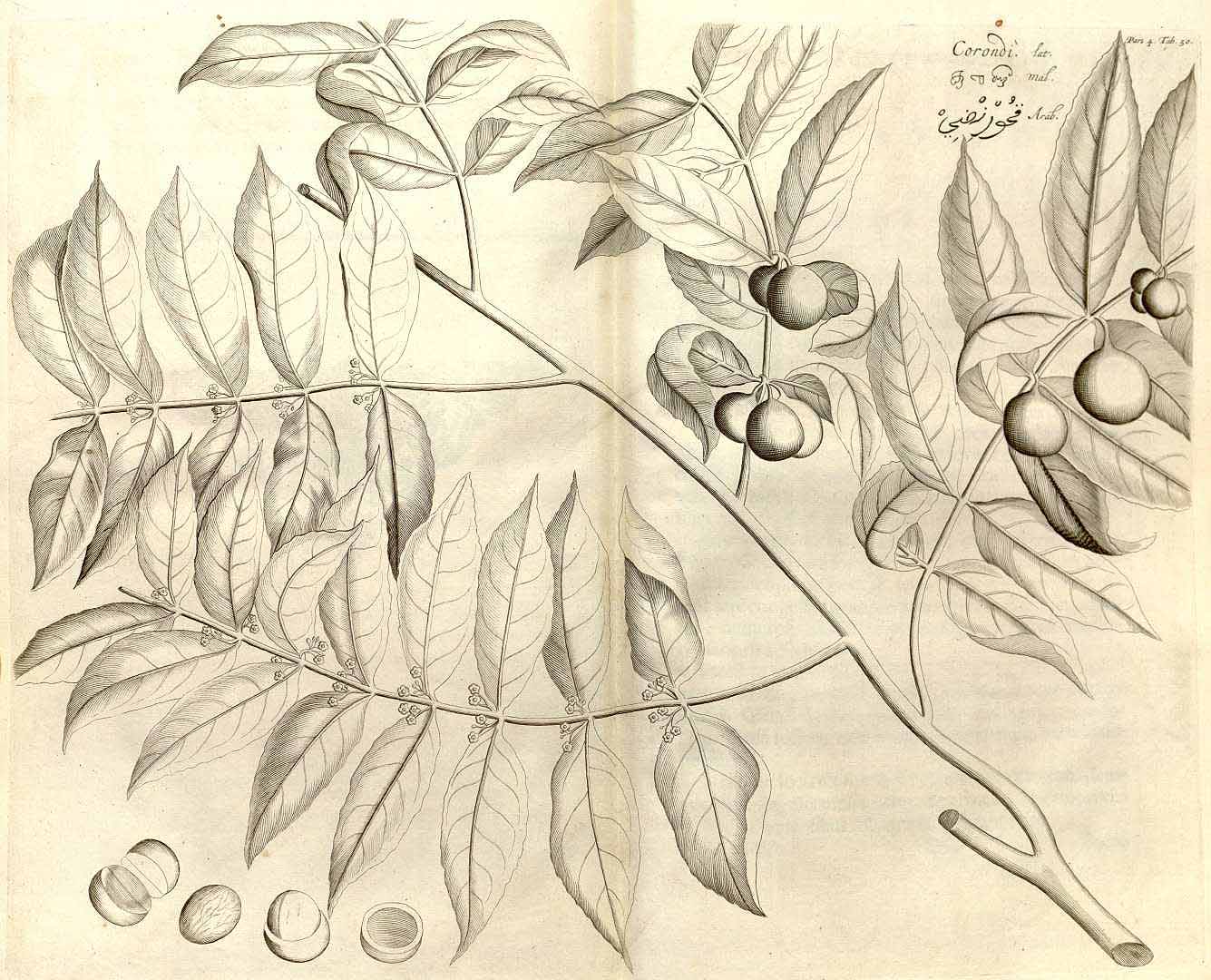 no HD illustration available (3)