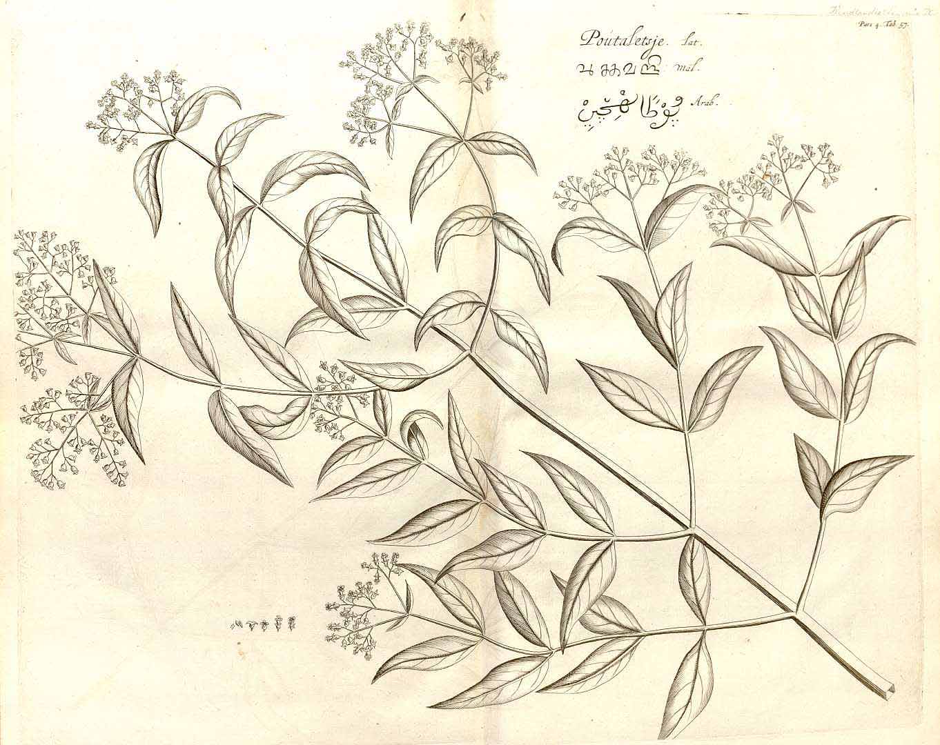 no HD illustration available (3)