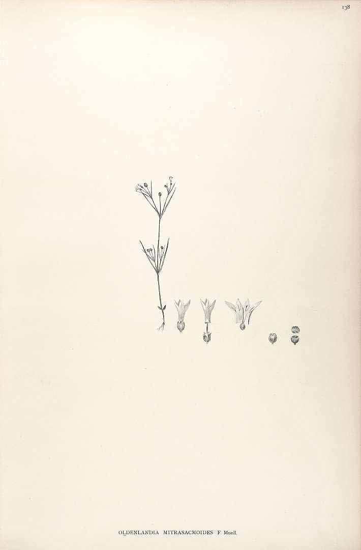no HD illustration available (3)