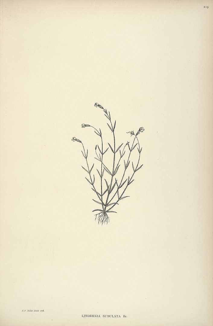 no HD illustration available (3)