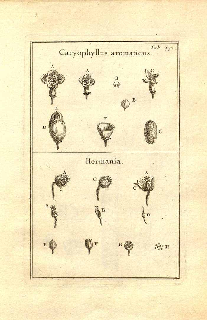 no HD illustration available (3)