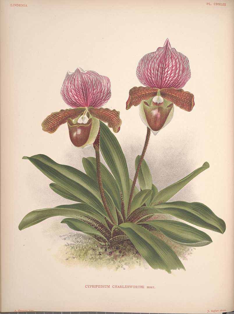 no HD illustration available (3)