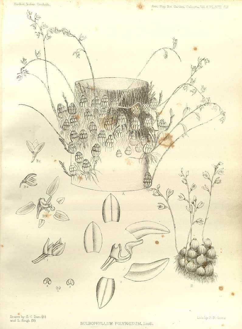 no HD illustration available (3)