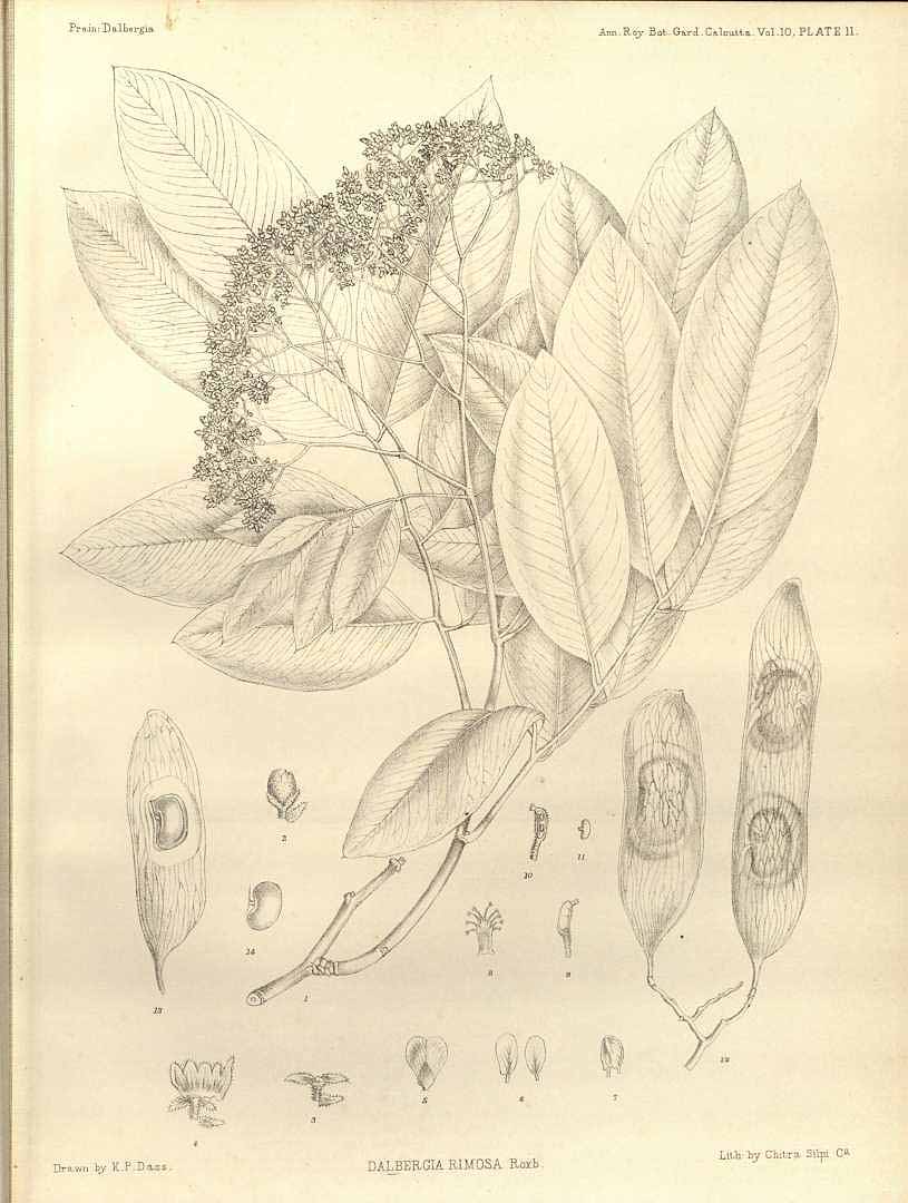 no HD illustration available (3)