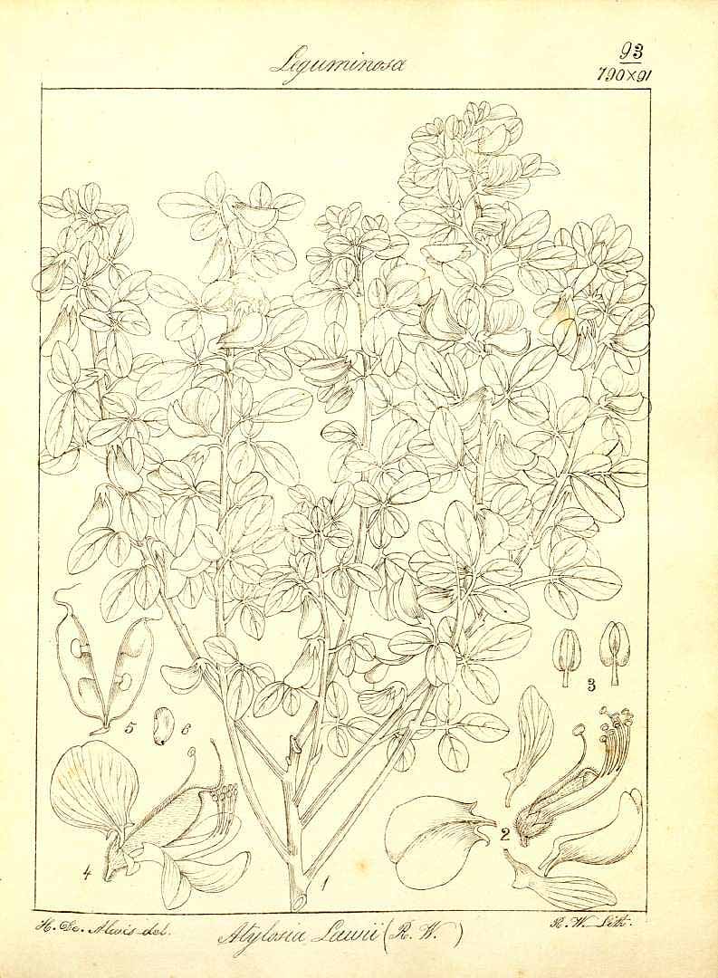 no HD illustration available (3)