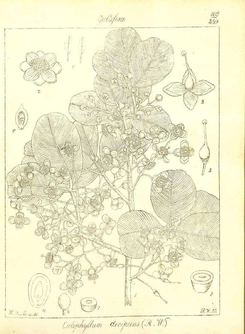 no HD illustration available (3)