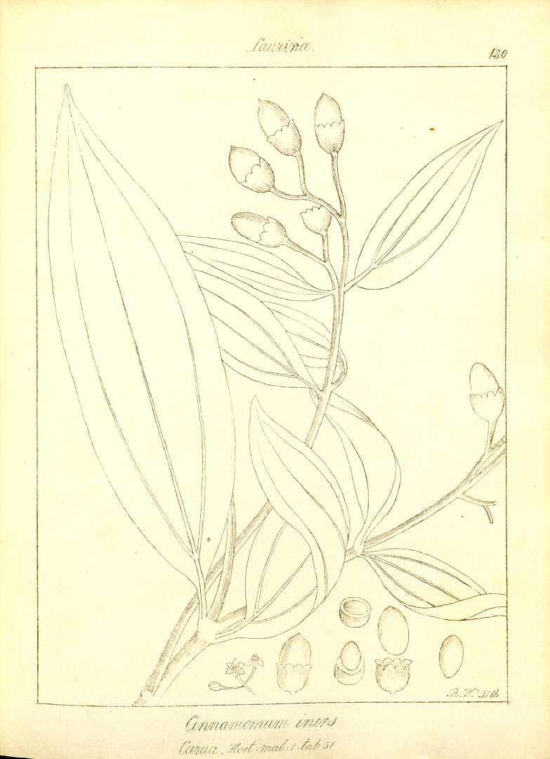 no HD illustration available (3)