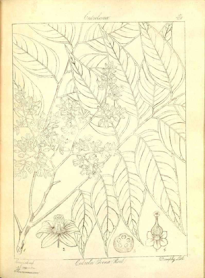 no HD illustration available (3)