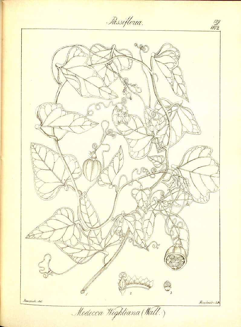 no HD illustration available (3)
