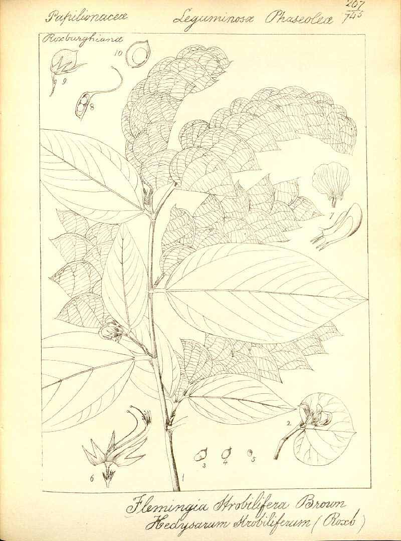 no HD illustration available (3)