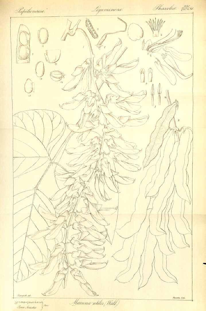no HD illustration available (3)