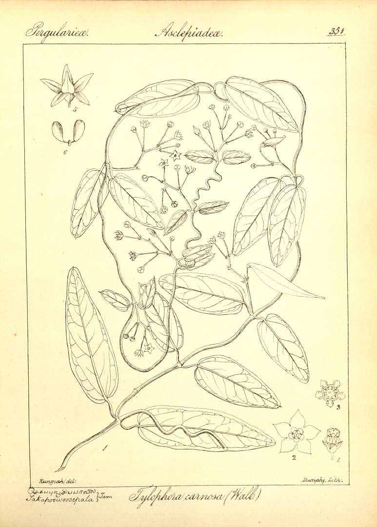 no HD illustration available (3)