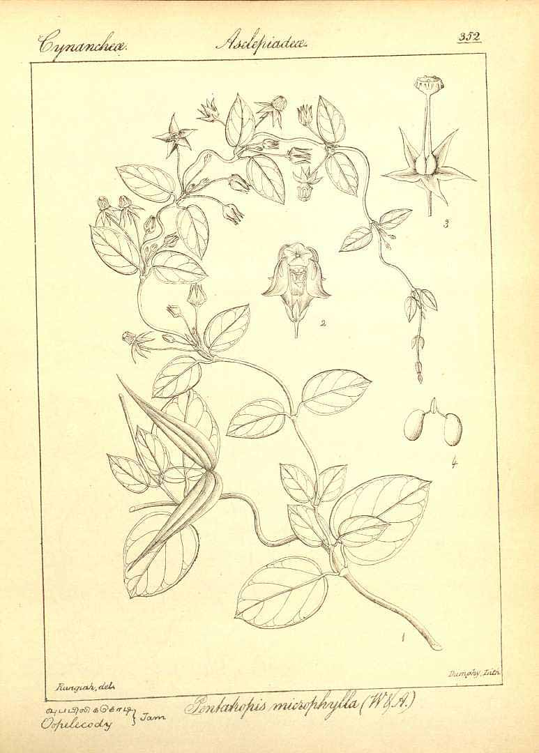 no HD illustration available (3)