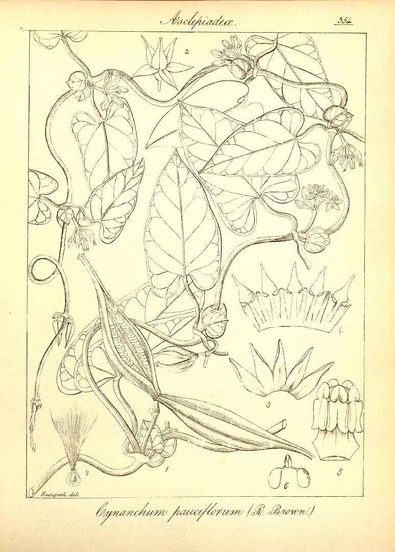 no HD illustration available (3)