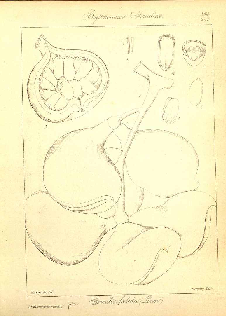 no HD illustration available (3)