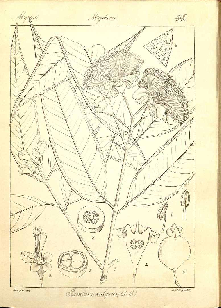 no HD illustration available (3)
