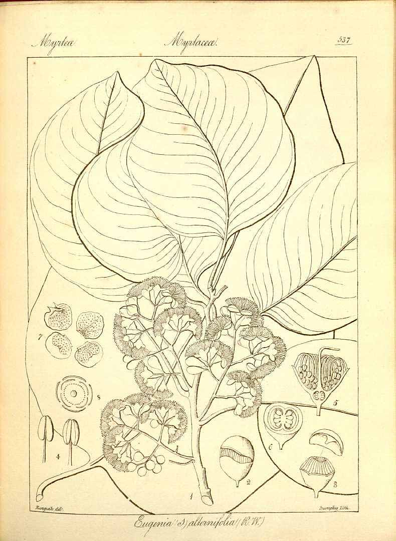 no HD illustration available (3)