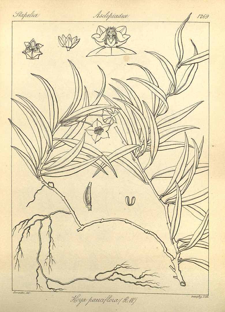 no HD illustration available (3)