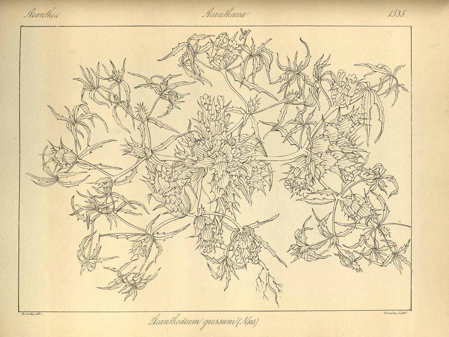 no HD illustration available (3)