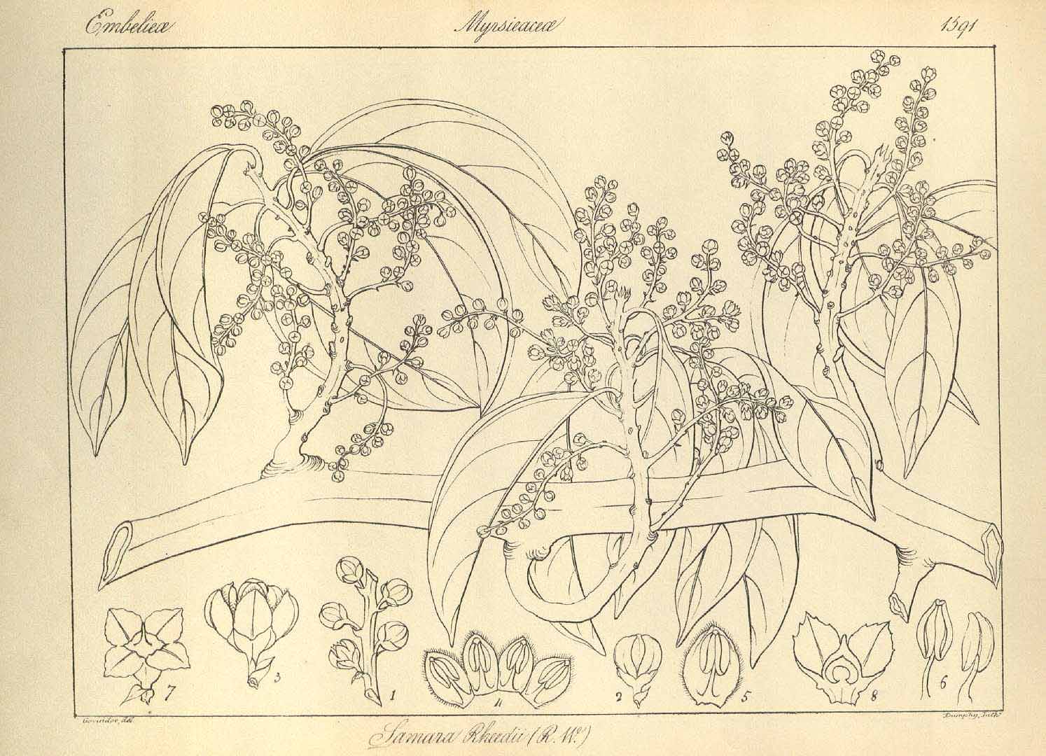 no HD illustration available (3)