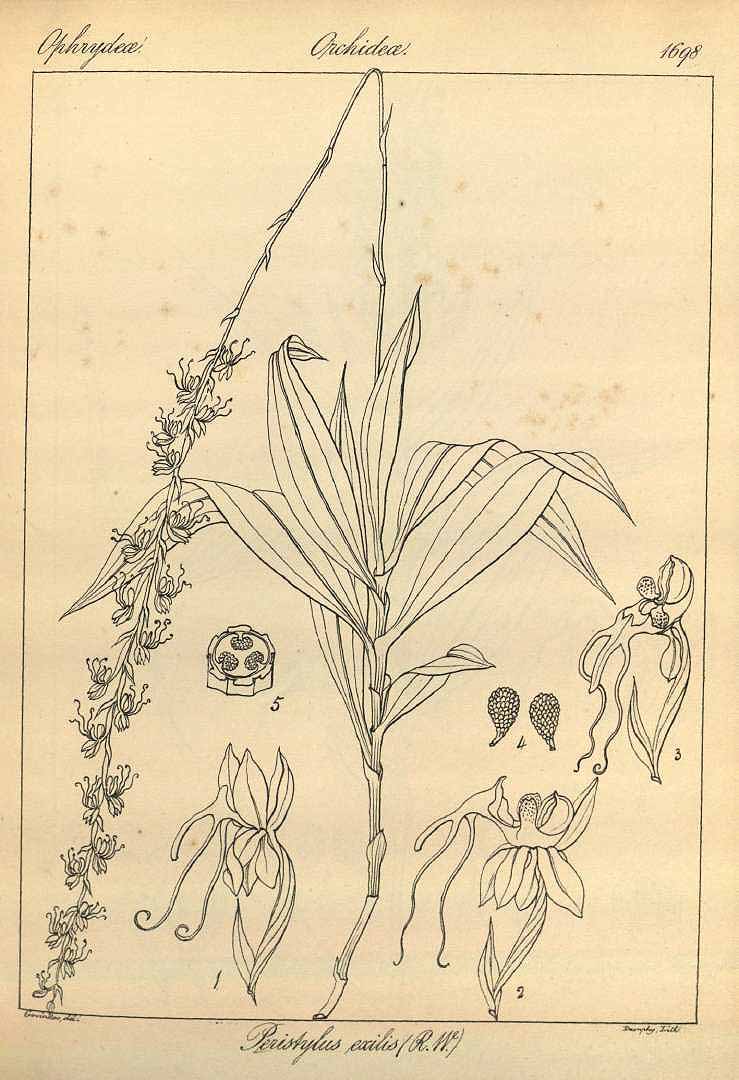 no HD illustration available (3)