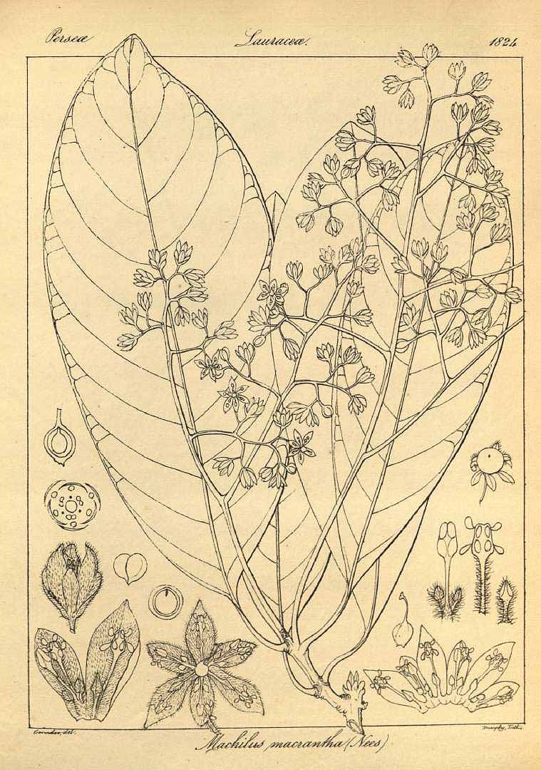 no HD illustration available (3)