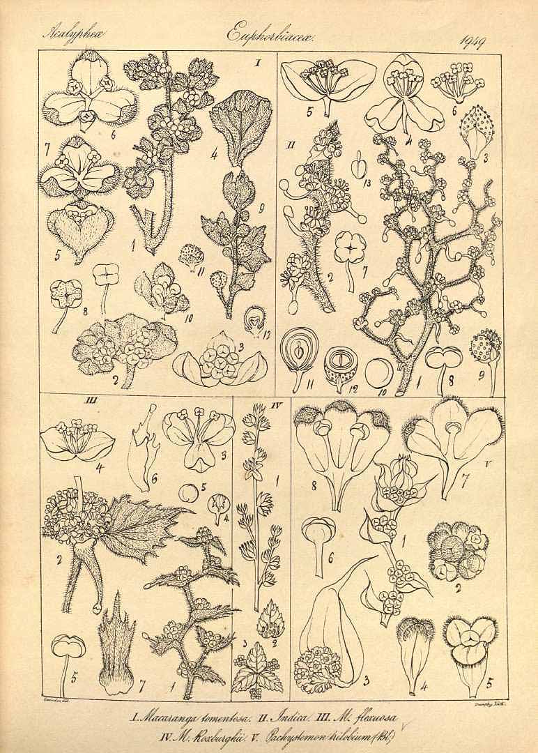 no HD illustration available (3)