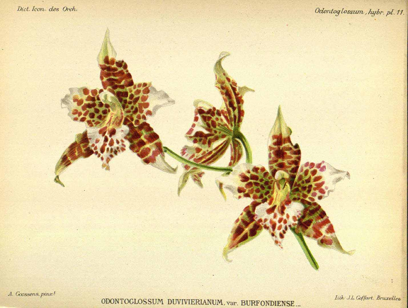 no HD illustration available (3)