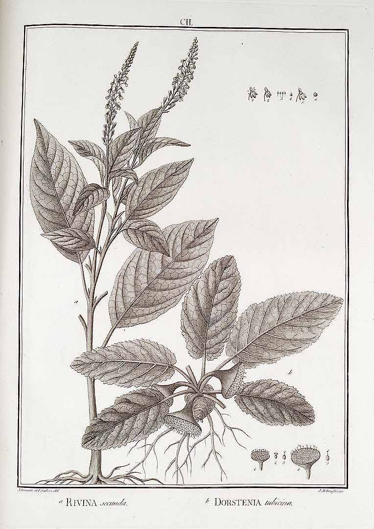 no HD illustration available (3)