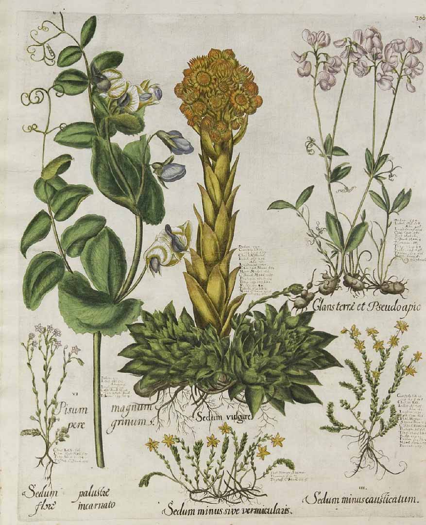 no HD illustration available (3)