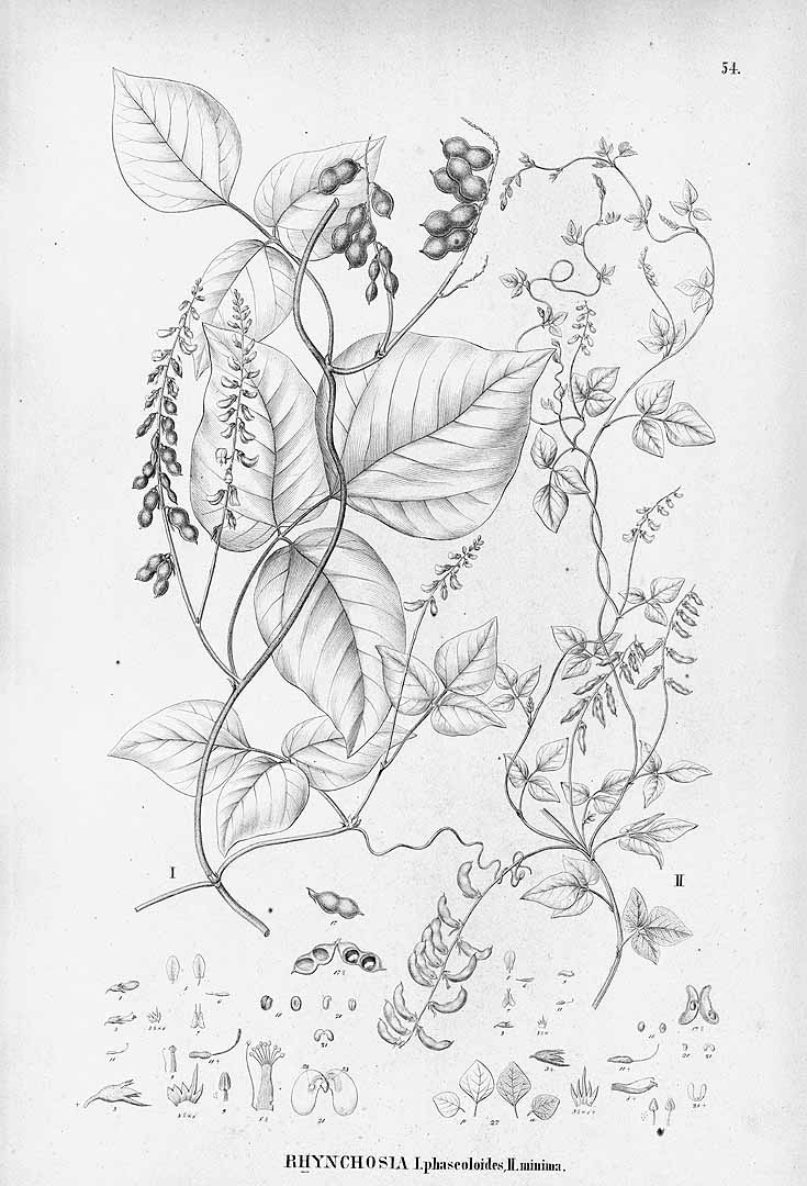 no HD illustration available (3)