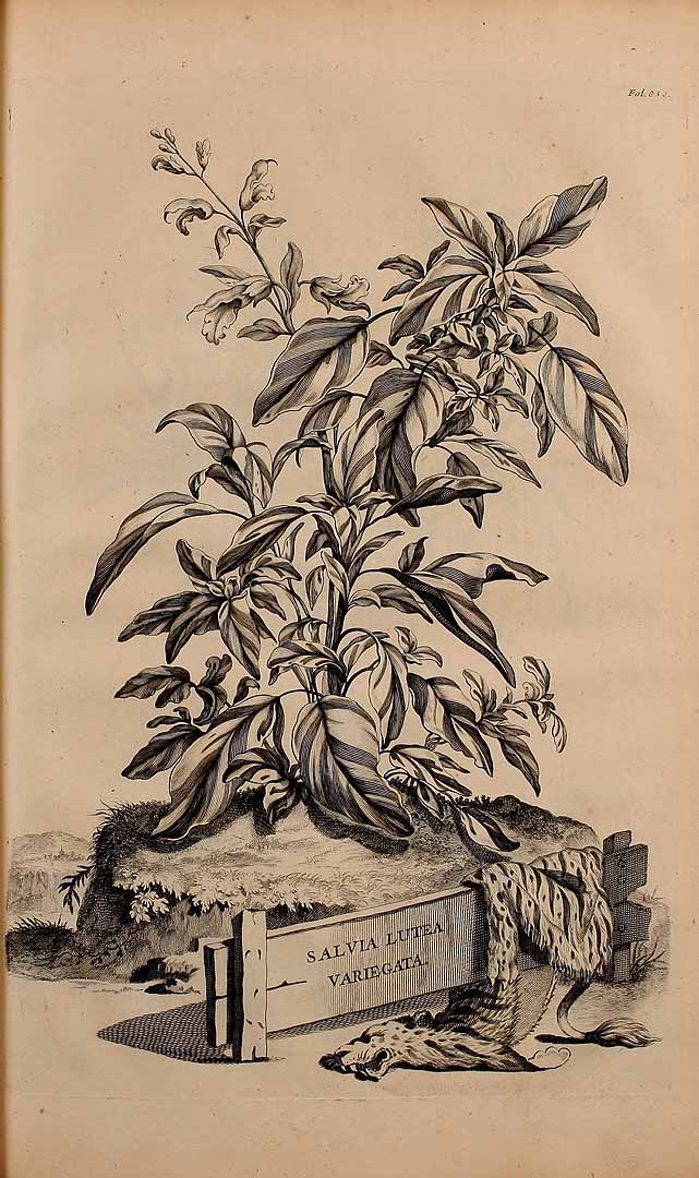no HD illustration available (3)
