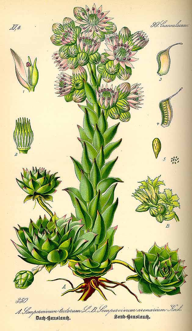 no HD illustration available (3)
