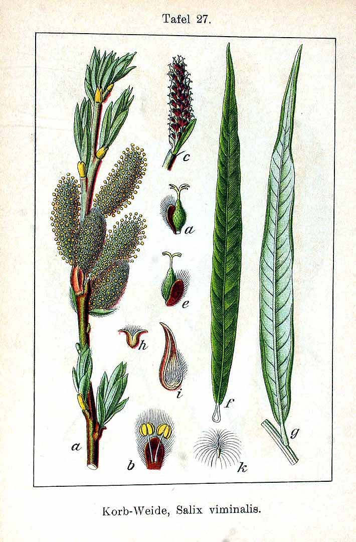 no HD illustration available (3)