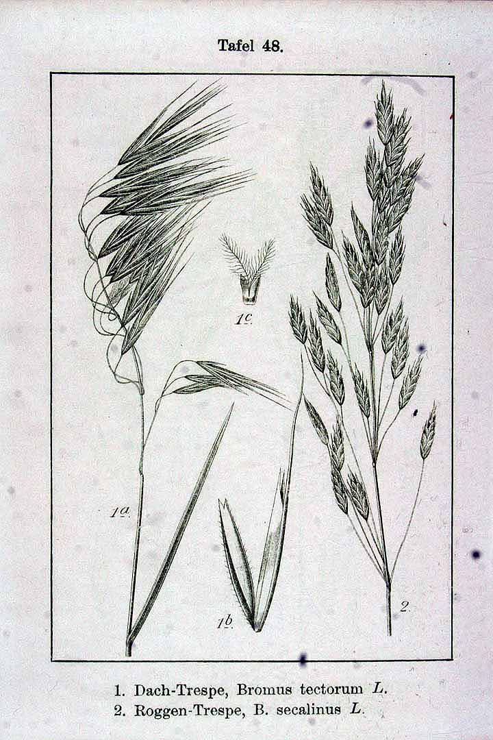 no HD illustration available (3)